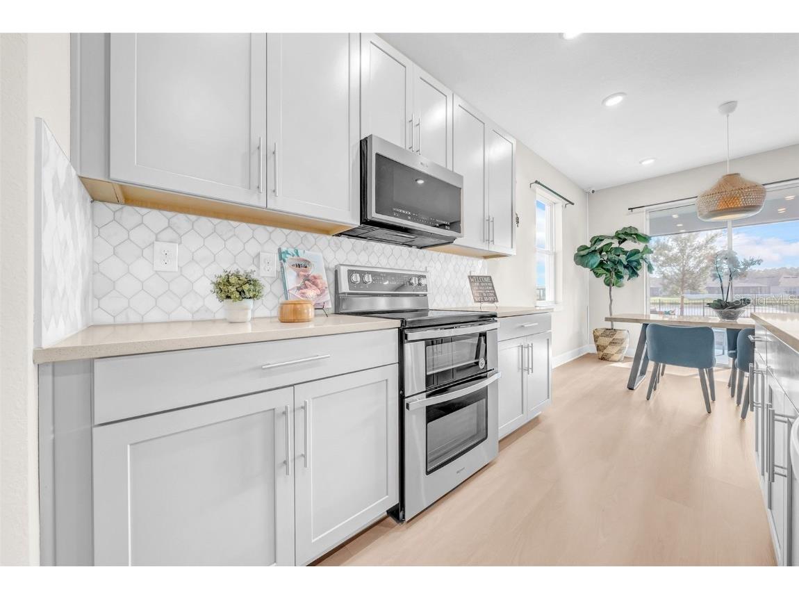 34307 Radley Way Wesley Chapel FL 33545 TB8424061 image6