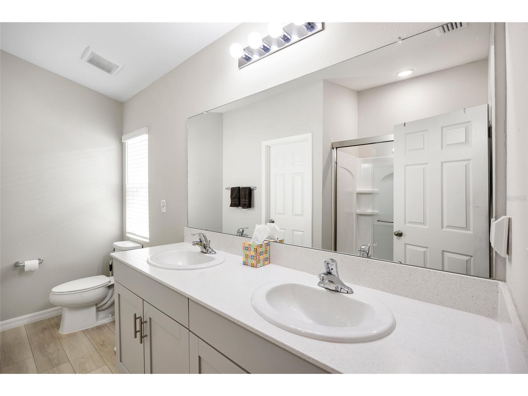 34308 Verbena Street Wesley Chapel FL 33545 TB8496609 image18