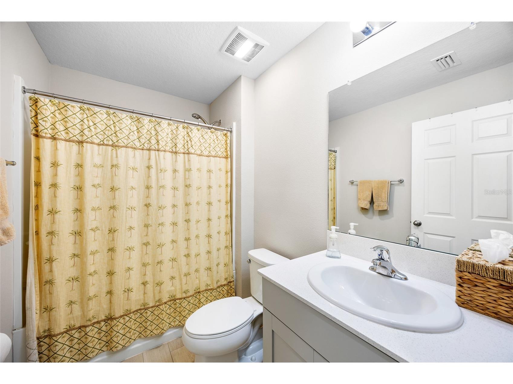 34308 Verbena Street Wesley Chapel FL 33545 TB8496609 image26
