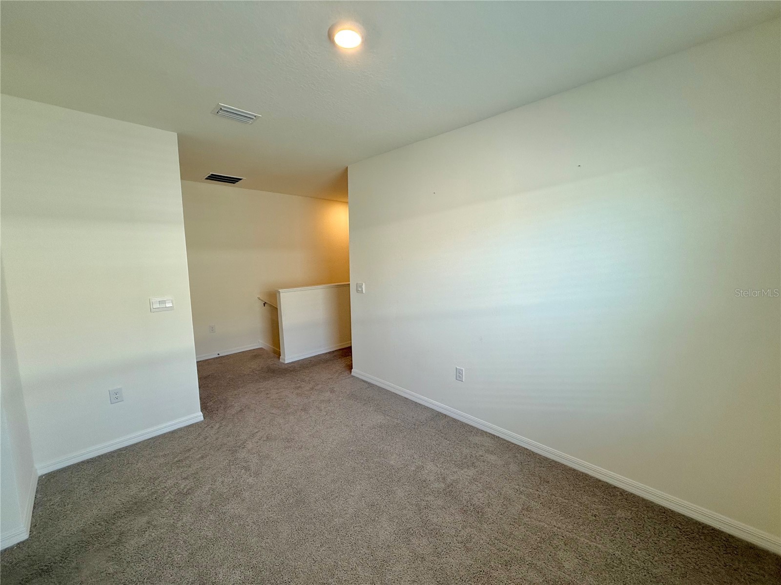 34309 Sorrel Mint Drive Wesley Chapel FL 33543 TB8528351 image11