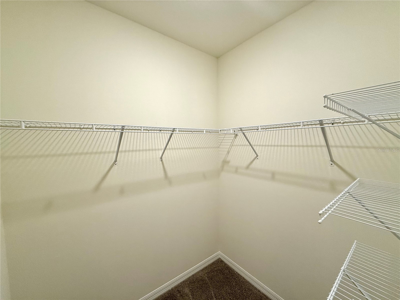 34309 Sorrel Mint Drive Wesley Chapel FL 33543 TB8528351 image15