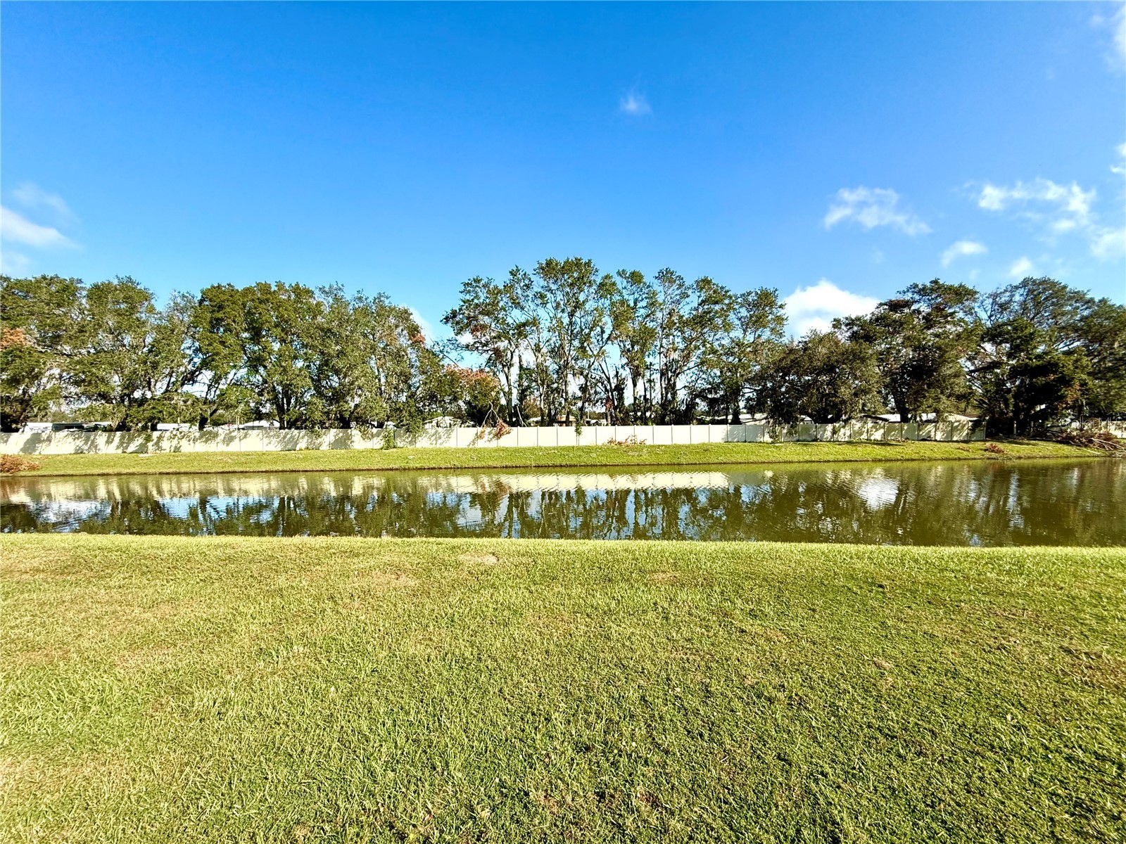 34309 Sorrel Mint Drive Wesley Chapel FL 33543 TB8528351 image28