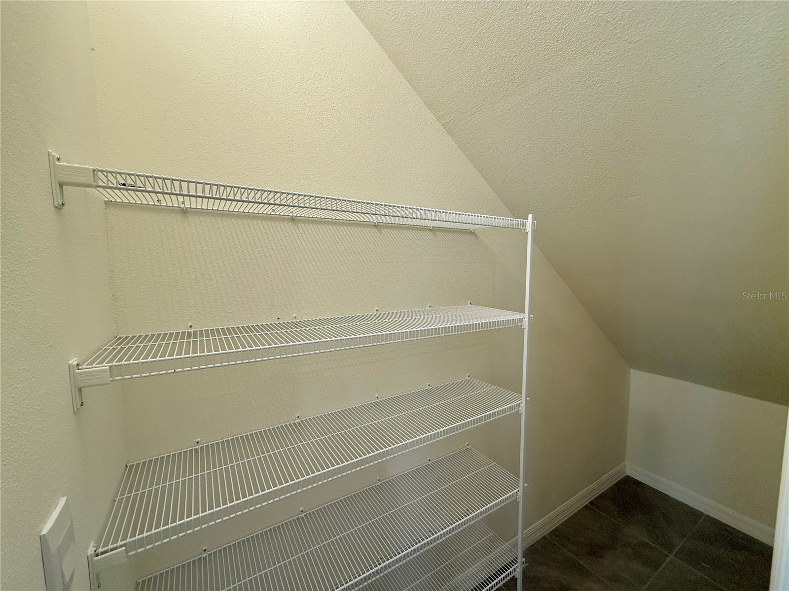 34309 Sorrel Mint Drive Wesley Chapel FL 33543 TB8528351 image8