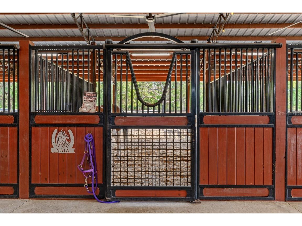 3431 Saturn Road Brooksville FL 34604 W7874617 image49