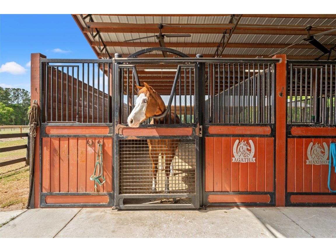 3431 Saturn Road Brooksville FL 34604 W7874617 image51