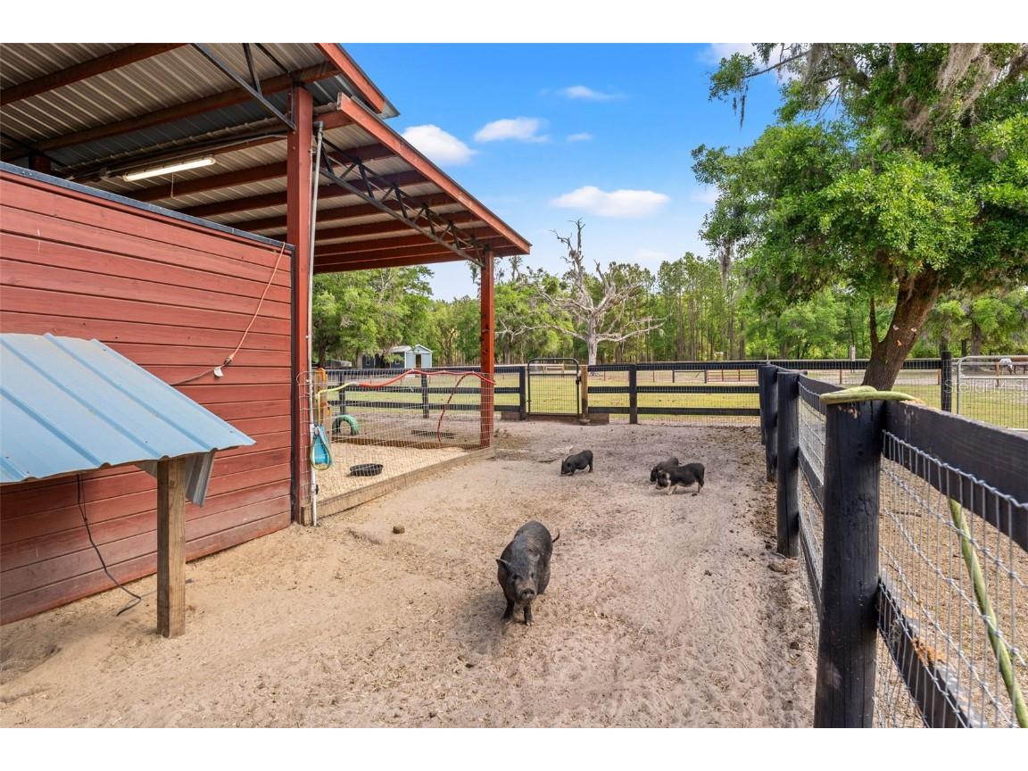 3431 Saturn Road Brooksville FL 34604 W7874617 image52