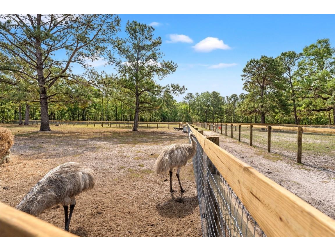 3431 Saturn Road Brooksville FL 34604 W7874617 image53