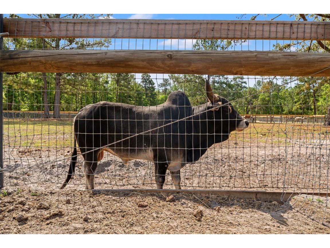 3431 Saturn Road Brooksville FL 34604 W7874617 image54