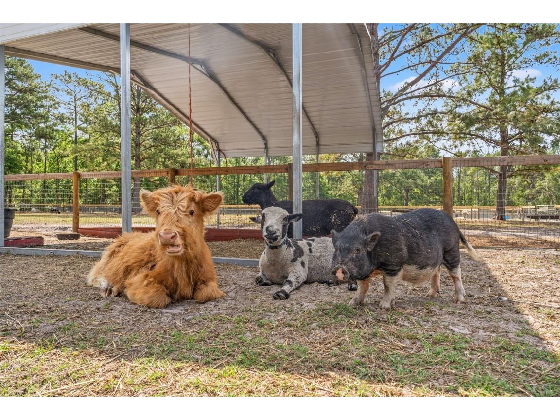 3431 Saturn Road Brooksville FL 34604 W7874617 image55