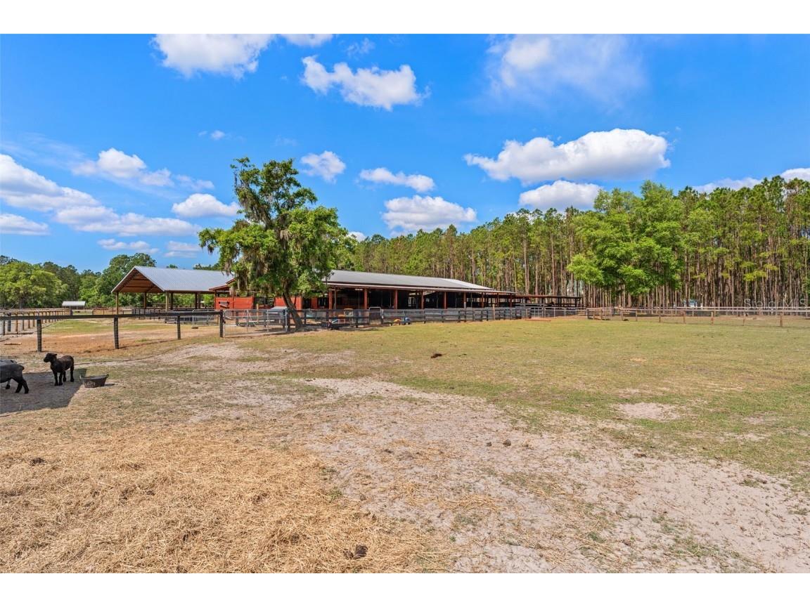 3431 Saturn Road Brooksville FL 34604 W7874617 image56