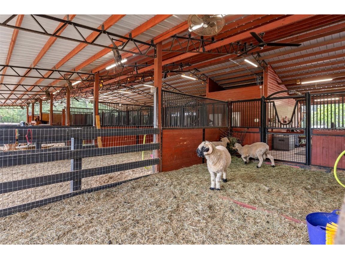 3431 Saturn Road Brooksville FL 34604 W7874617 image58