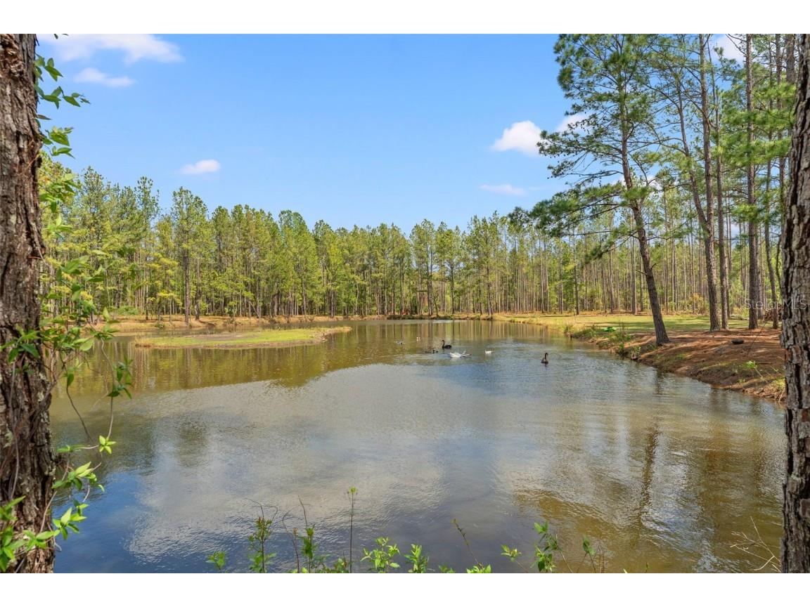 3431 Saturn Road Brooksville FL 34604 W7874617 image78