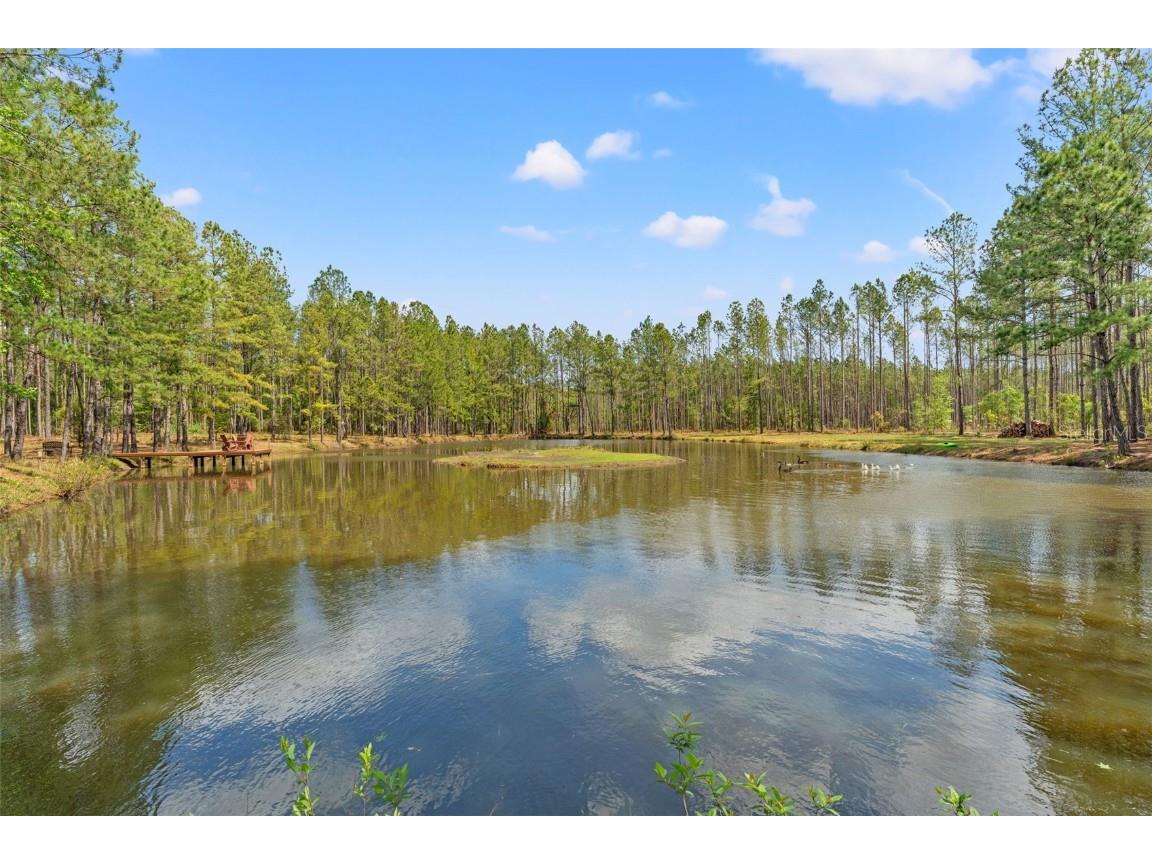 3431 Saturn Road Brooksville FL 34604 W7874617 image79