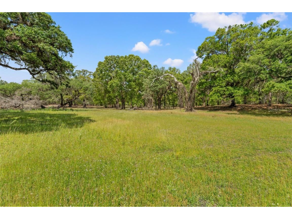 3431 Saturn Road Brooksville FL 34604 W7874617 image84