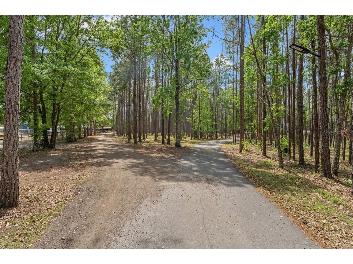 3431 Saturn Road Brooksville FL 34604 W7874617 image96