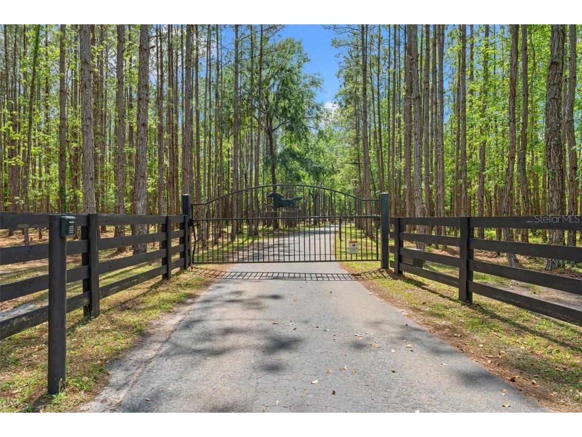 3431 Saturn Road Brooksville FL 34604 W7874617 image97