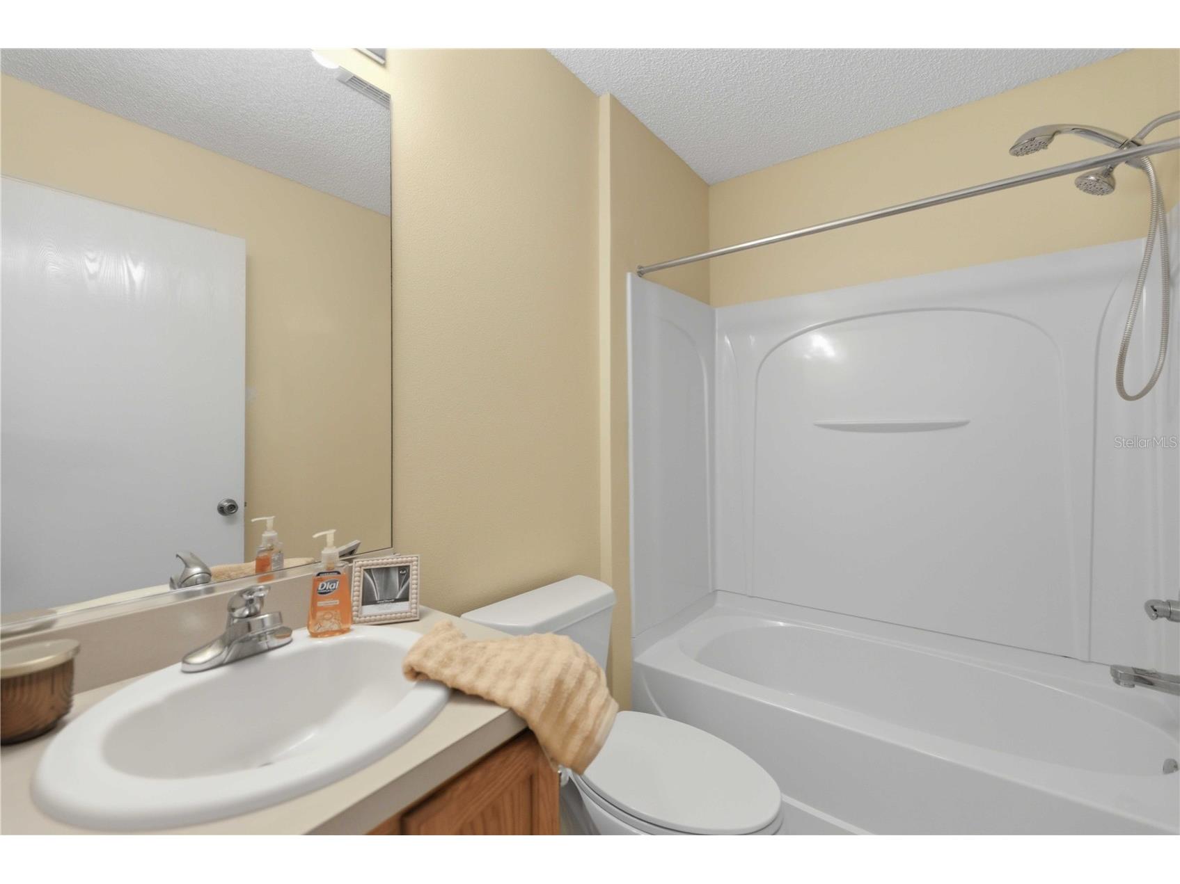 3431 Sipsey Street The Villages FL 32162 G5111492 image10