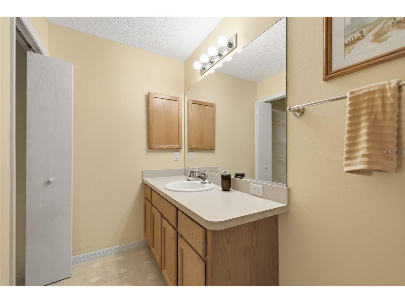 3431 Sipsey Street The Villages FL 32162 G5111492 image8