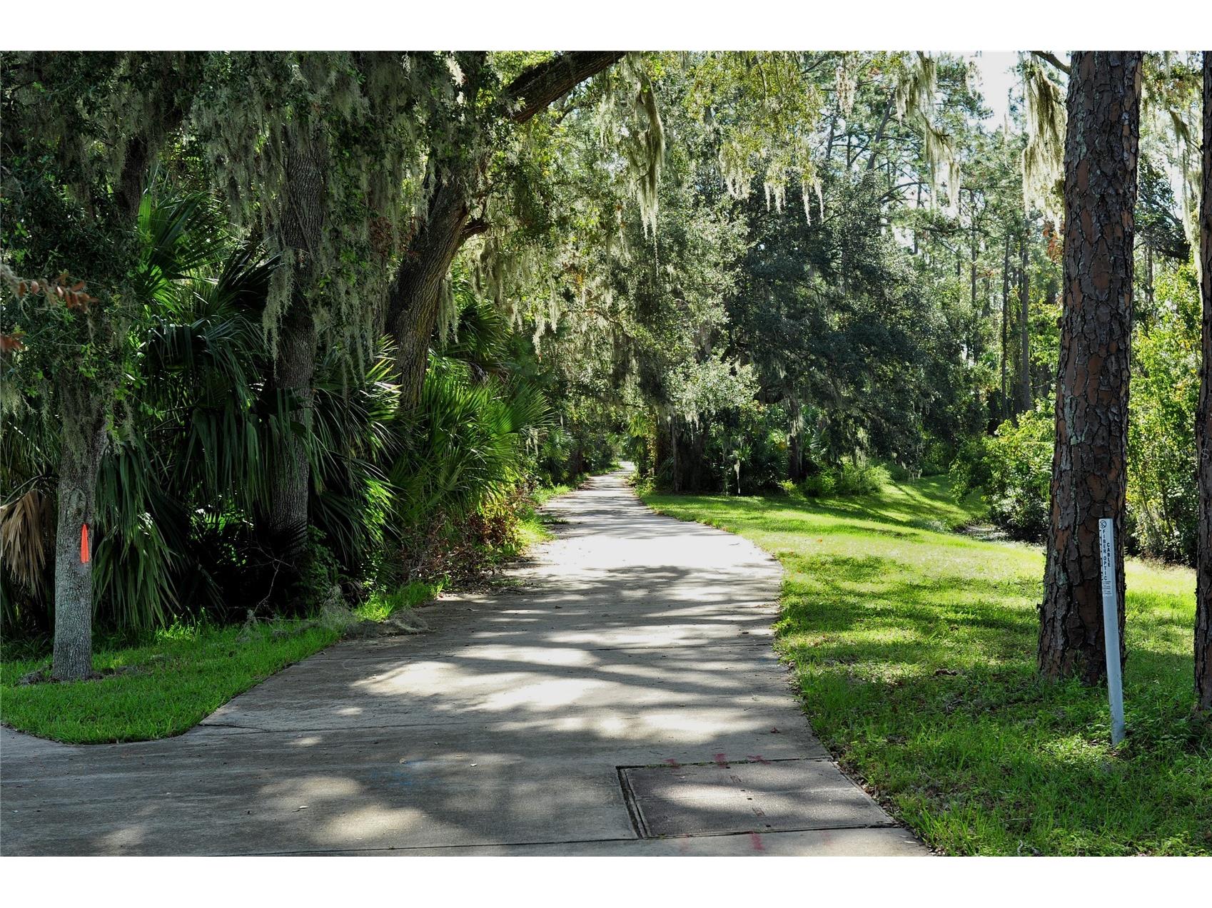 3431 Torre Boulevard New Smyrna Beach FL 32168 NS1087966 image98