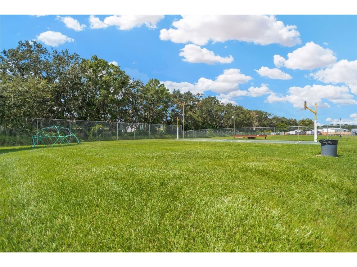 34310 Lodge Drive Wesley Chapel FL 33543 TB8421342 image27