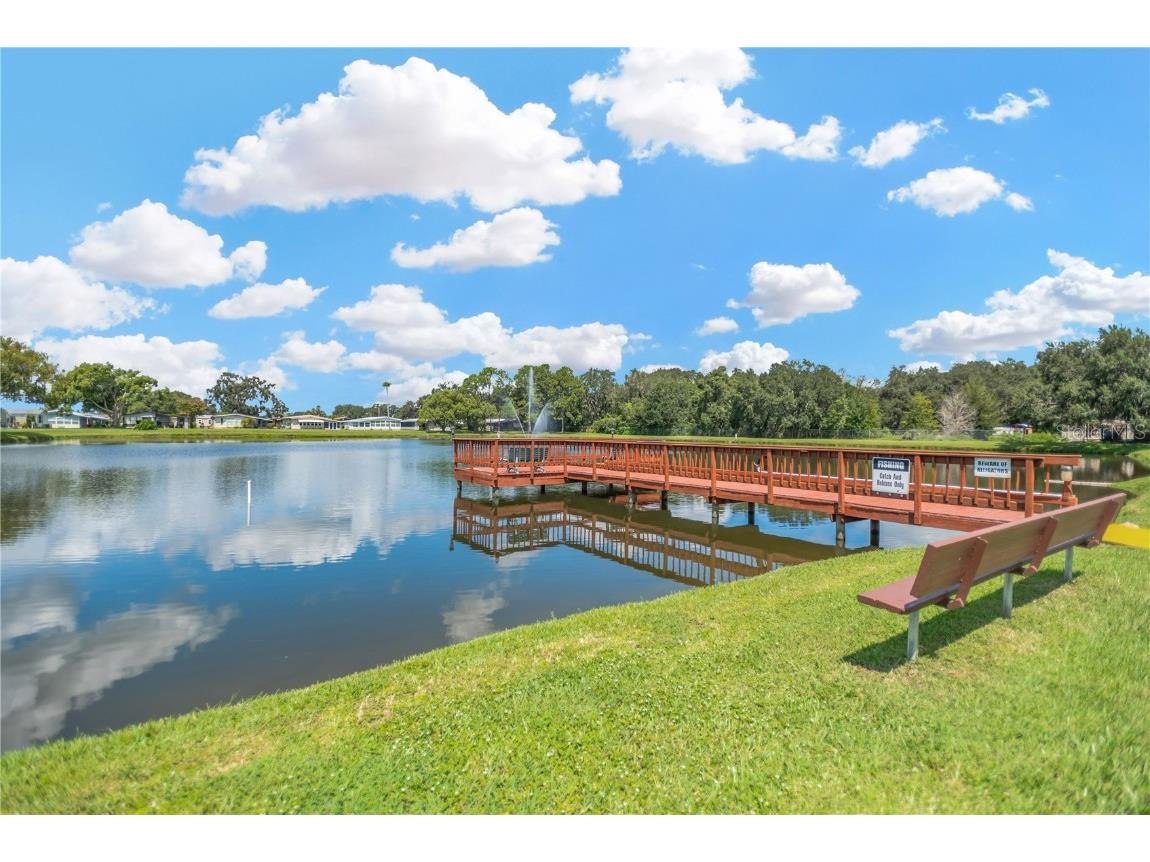 34310 Lodge Drive Wesley Chapel FL 33543 TB8421342 image30