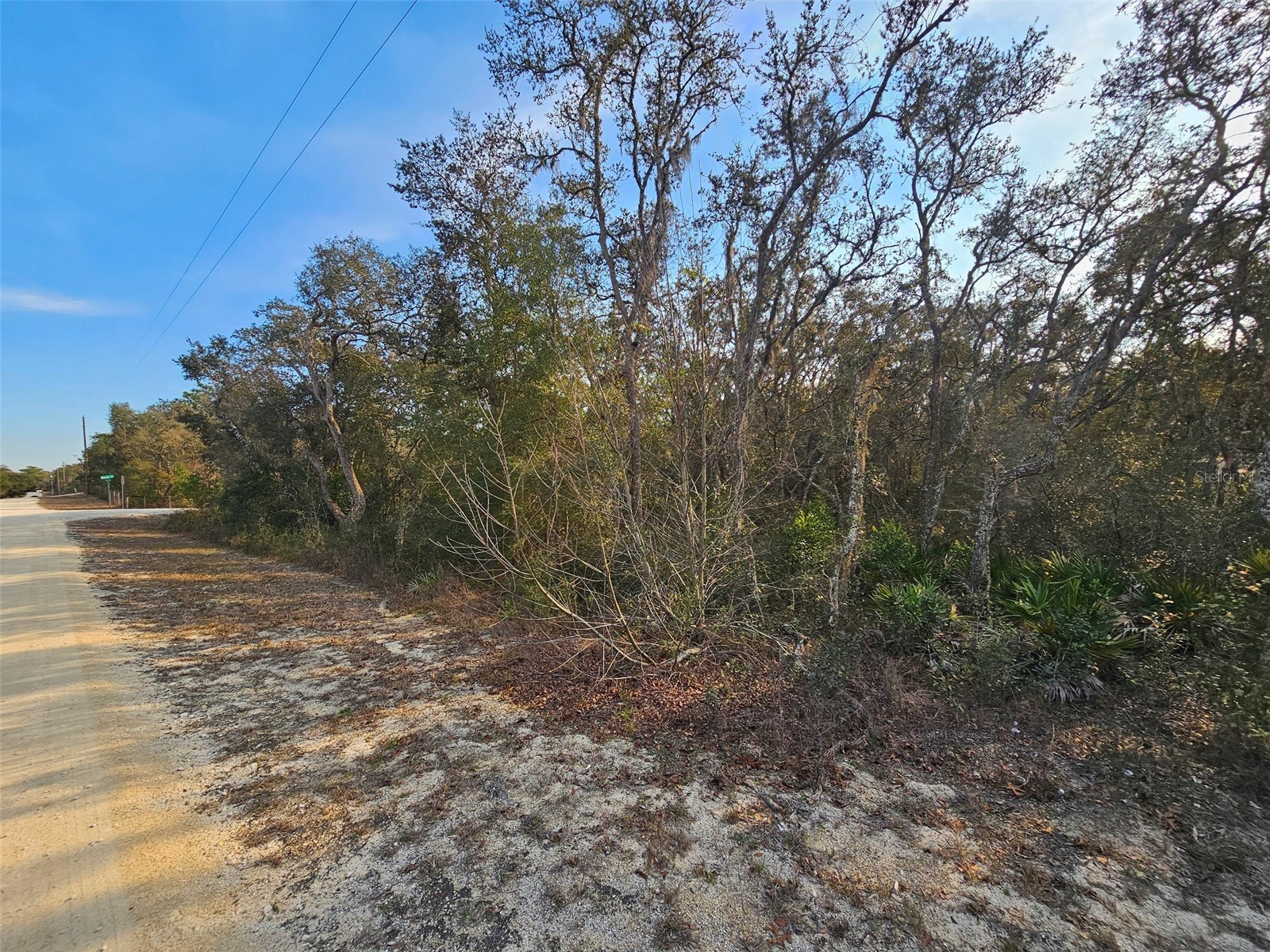 34310 Manuel Street Webster FL 33597 W7882346 image1