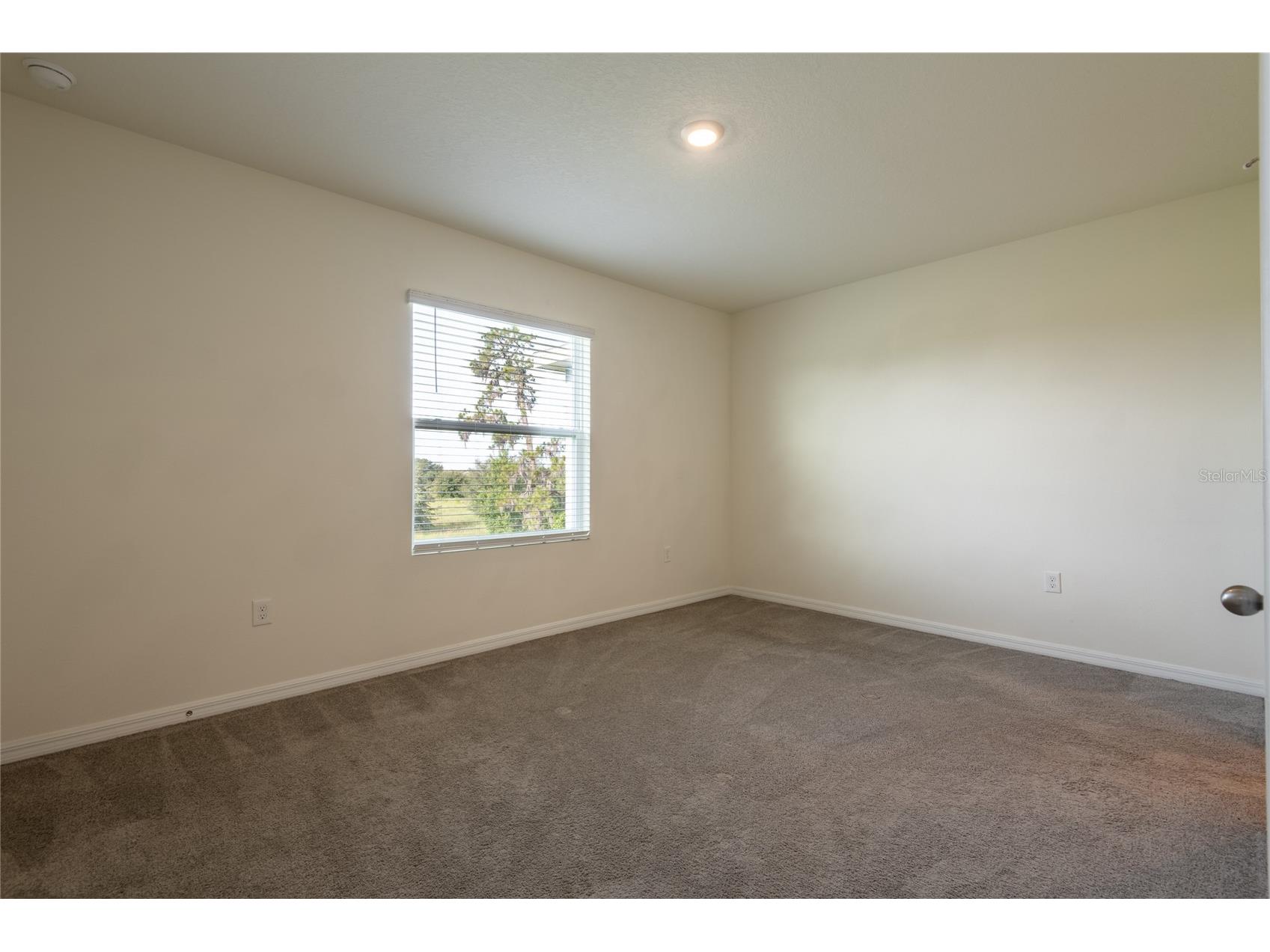 34310 Redwood Dawn Lane Wesley Chapel FL 33543 TB8518494 image10