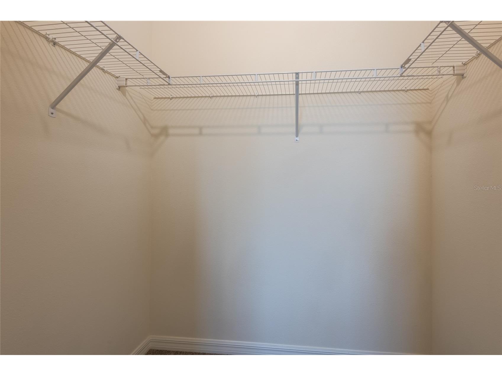 34310 Redwood Dawn Lane Wesley Chapel FL 33543 TB8518494 image40