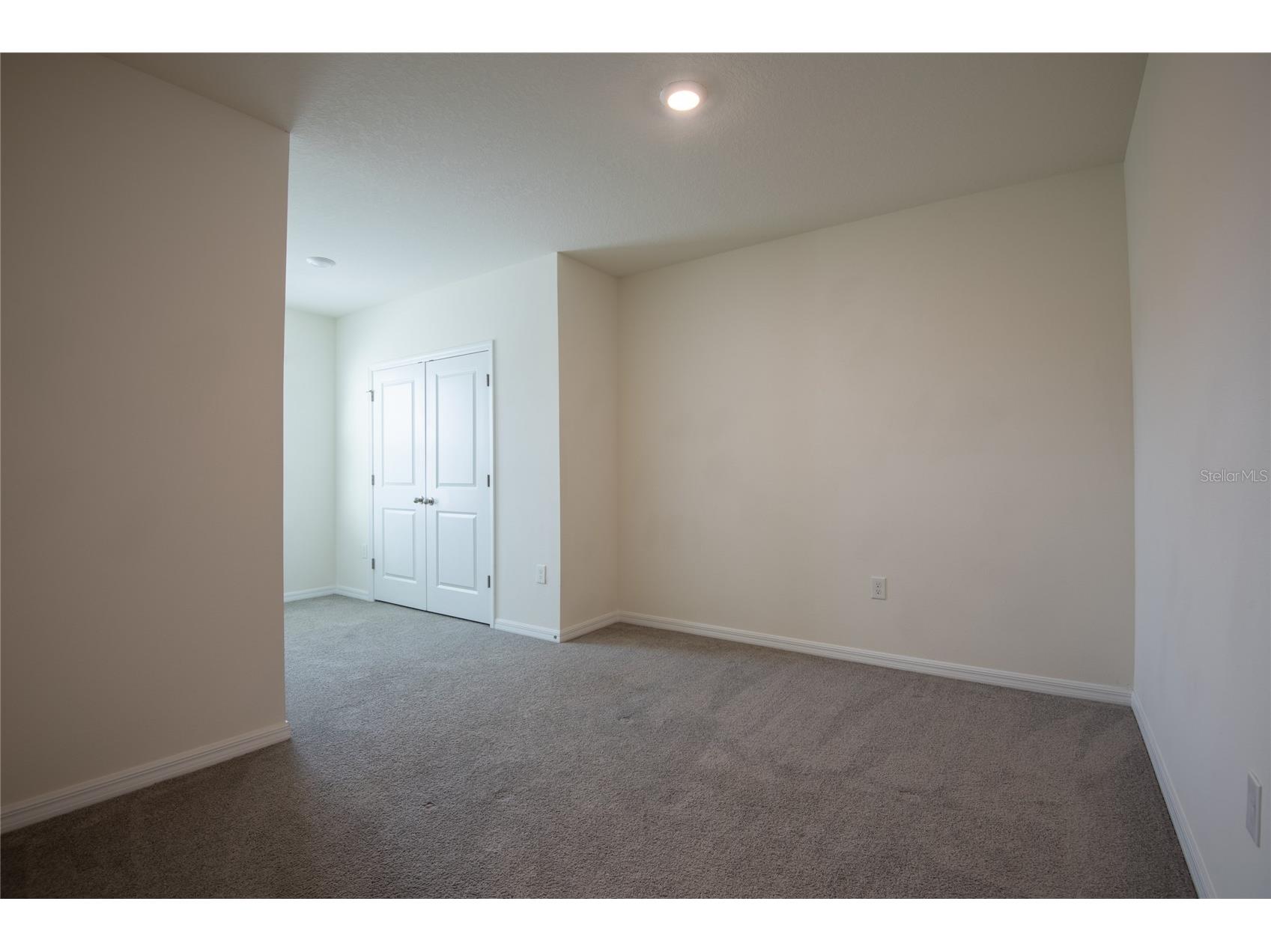 34310 Redwood Dawn Lane Wesley Chapel FL 33543 TB8518494 image44