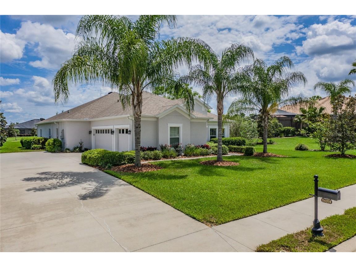 34310 Sahalee Loop Dade City FL 33525 T3440651 image1