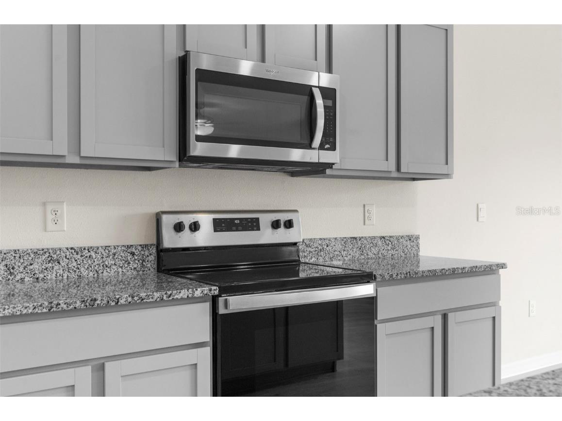 34314 Jasper Stone Drive Wesley Chapel FL 33543 W7877947 image13