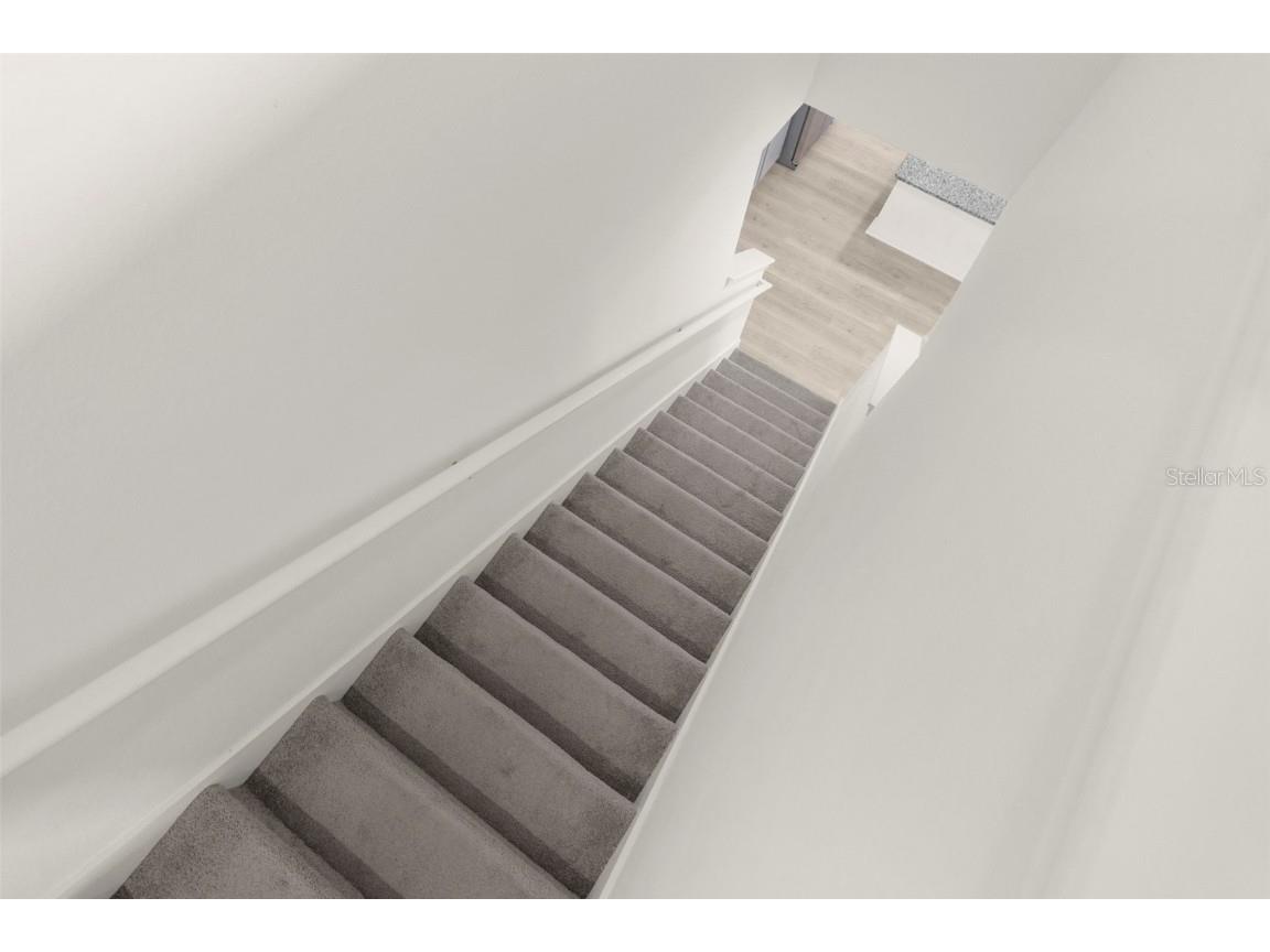 34314 Jasper Stone Drive Wesley Chapel FL 33543 W7877947 image20