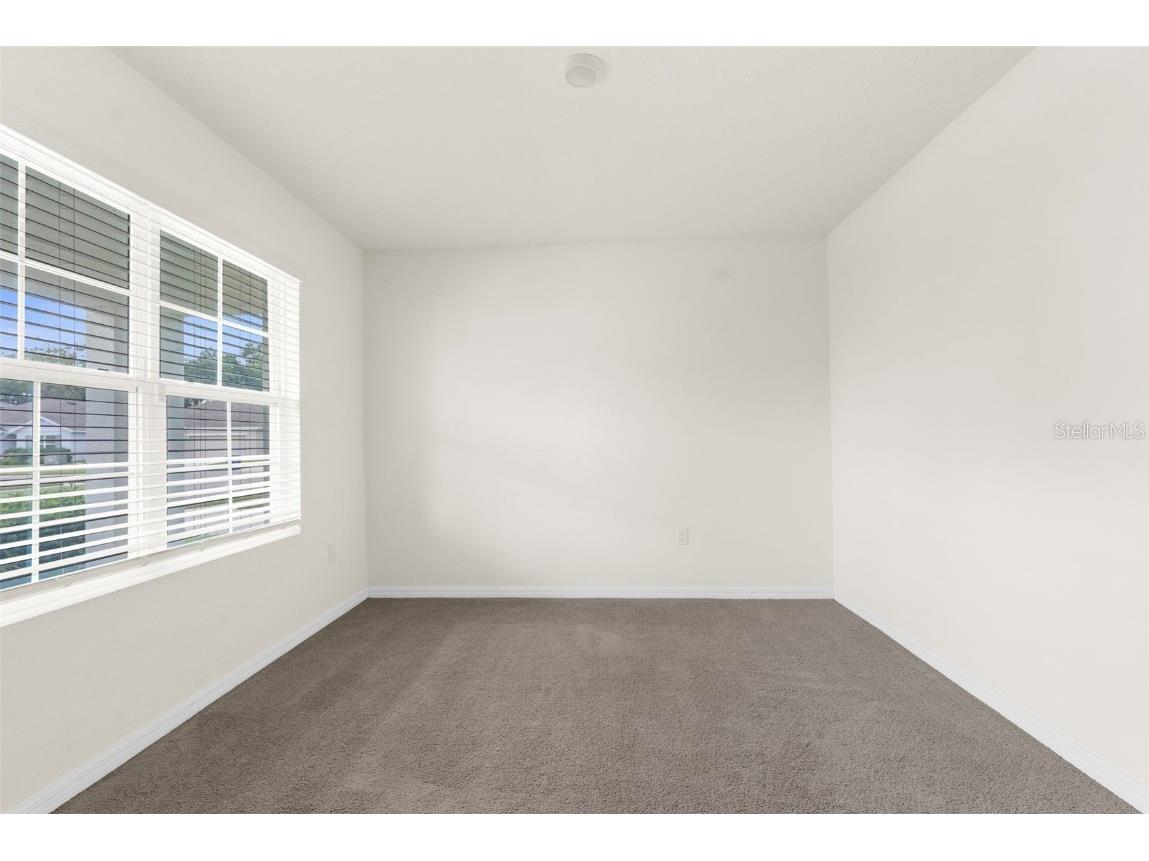 34314 Jasper Stone Drive Wesley Chapel FL 33543 W7877947 image3