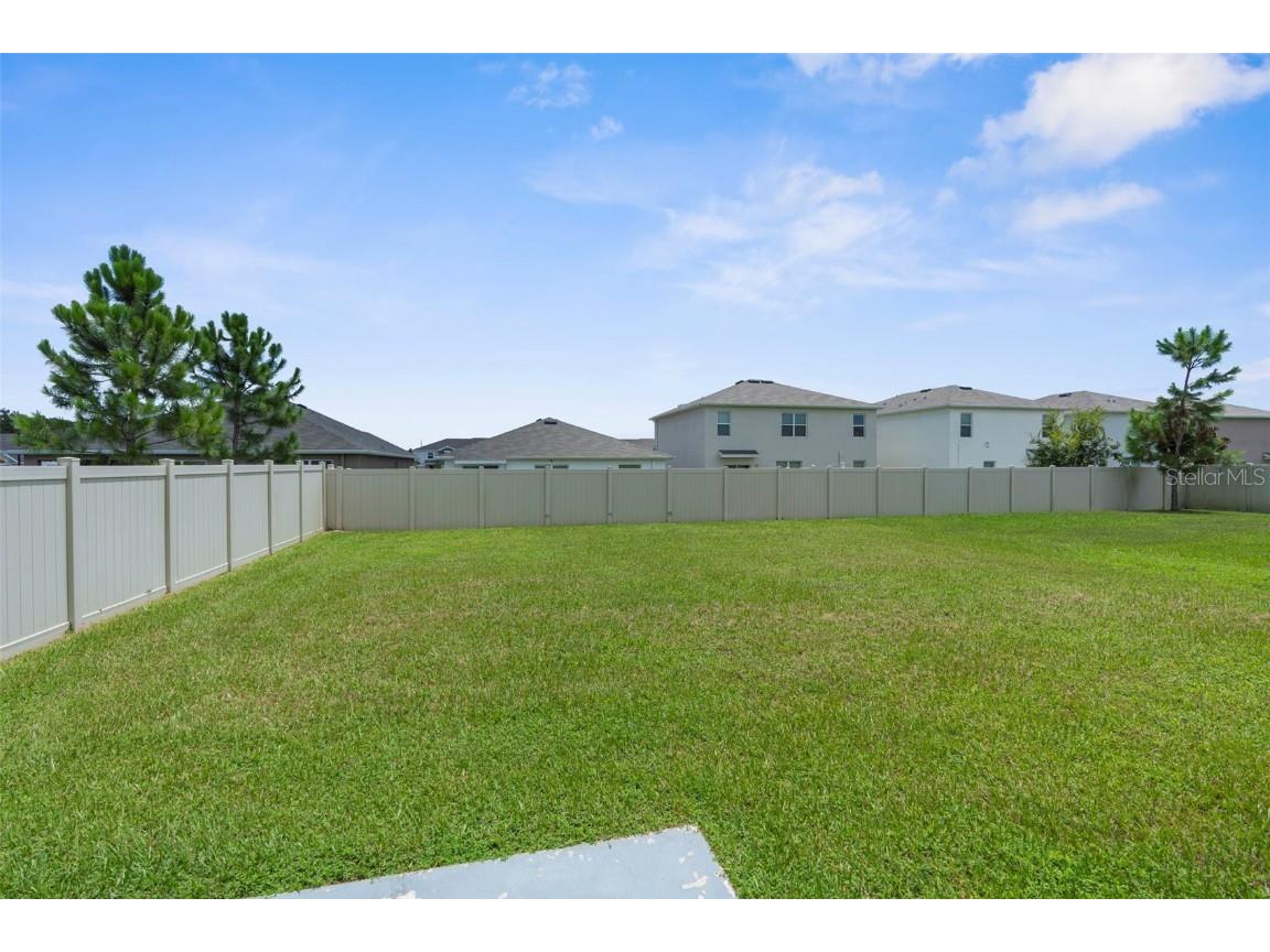 34314 Jasper Stone Drive Wesley Chapel FL 33543 W7877947 image35