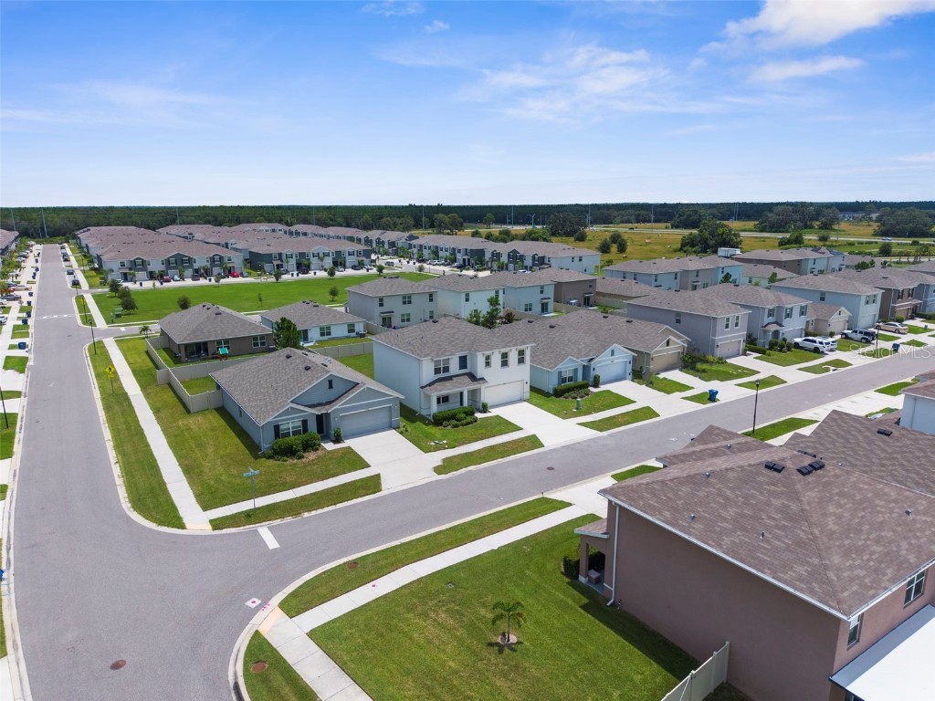 34314 Jasper Stone Drive Wesley Chapel FL 33543 W7877947 image38