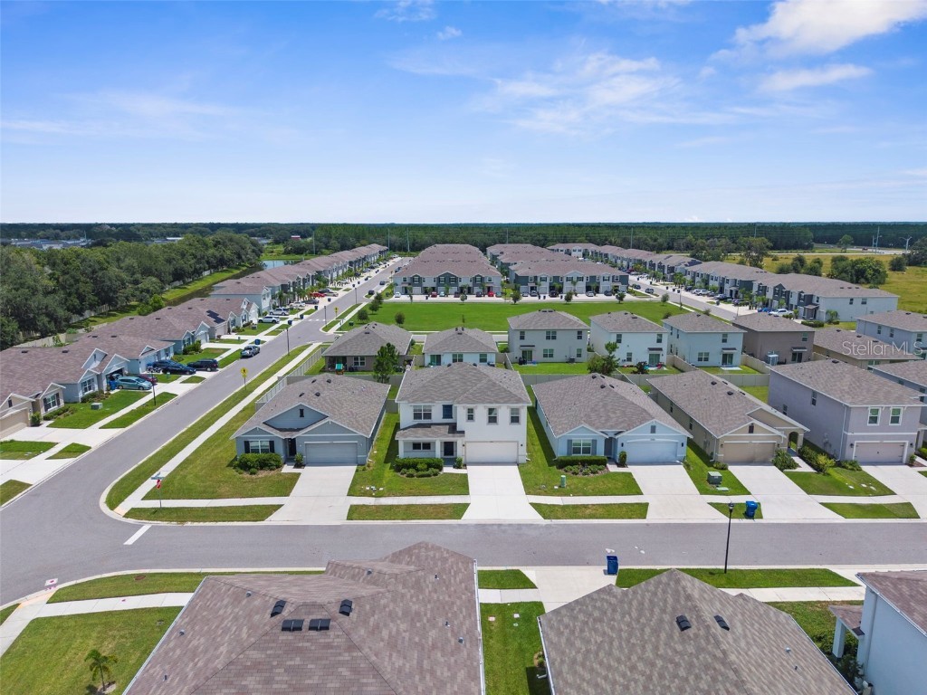 34314 Jasper Stone Drive Wesley Chapel FL 33543 W7877947 image39