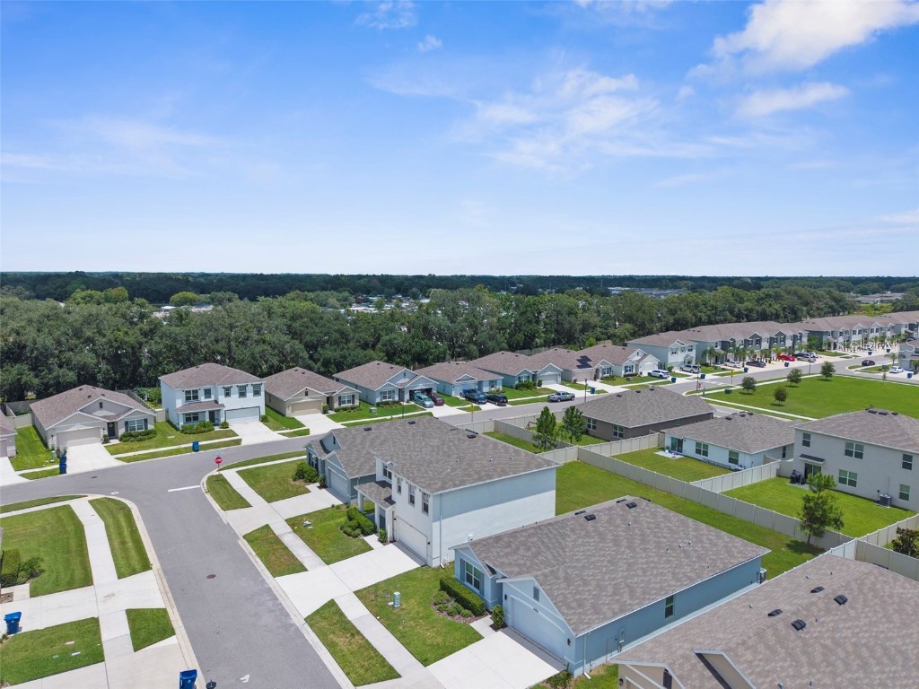 34314 Jasper Stone Drive Wesley Chapel FL 33543 W7877947 image40