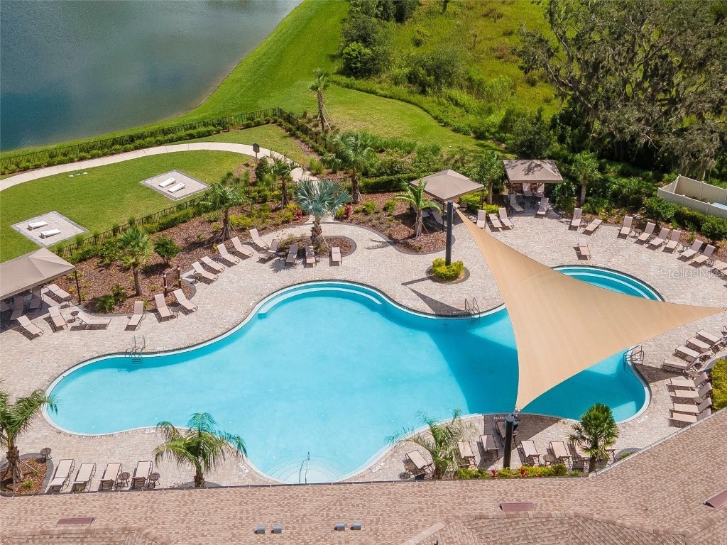 34314 Jasper Stone Drive Wesley Chapel FL 33543 W7877947 image47