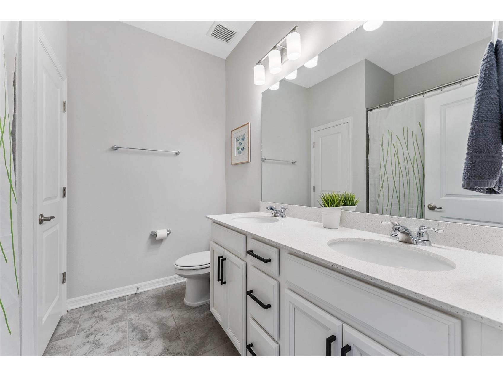 34315 Radley Way Wesley Chapel FL 33545 TB8514500 image28