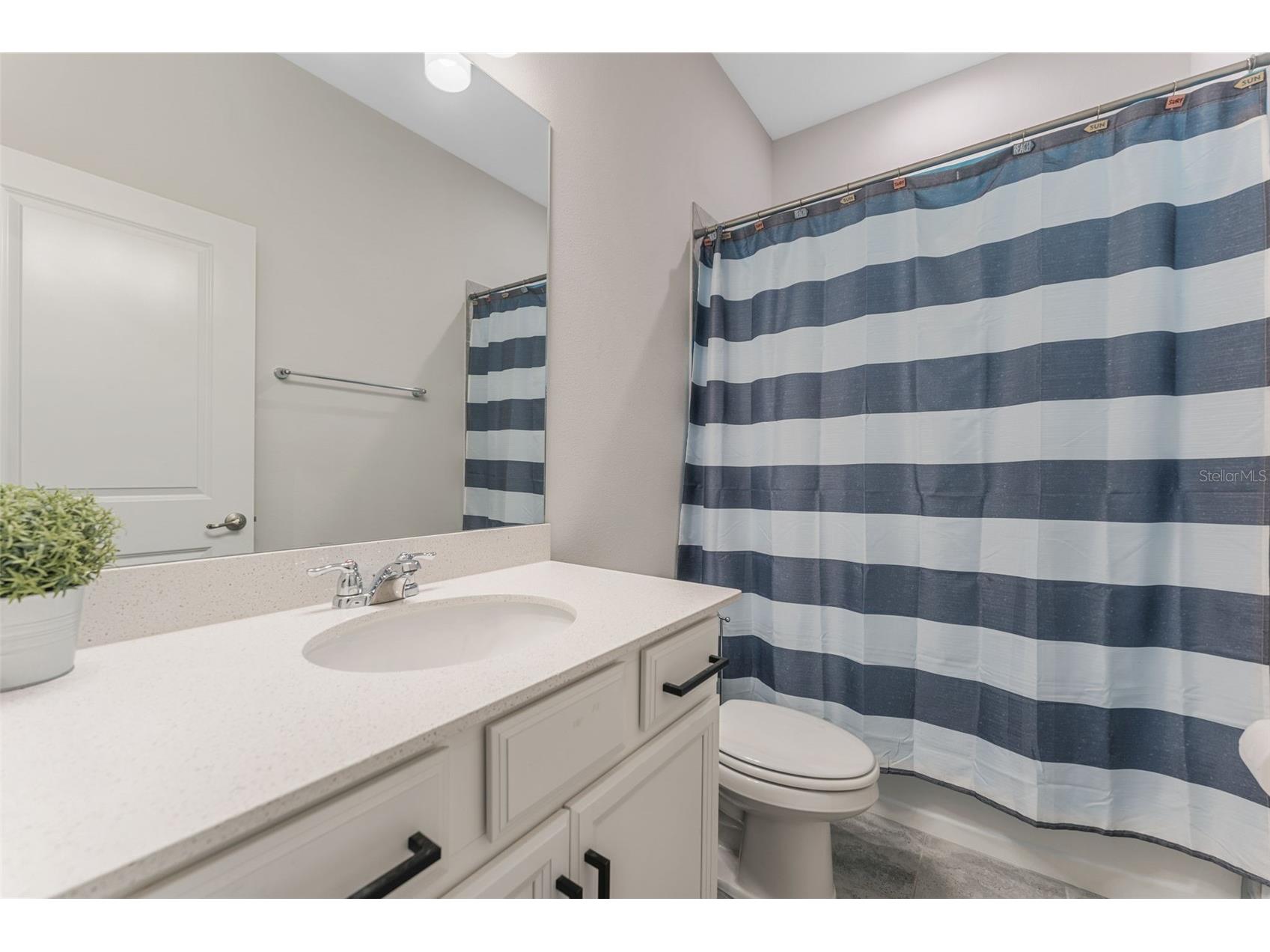 34315 Radley Way Wesley Chapel FL 33545 TB8514500 image32