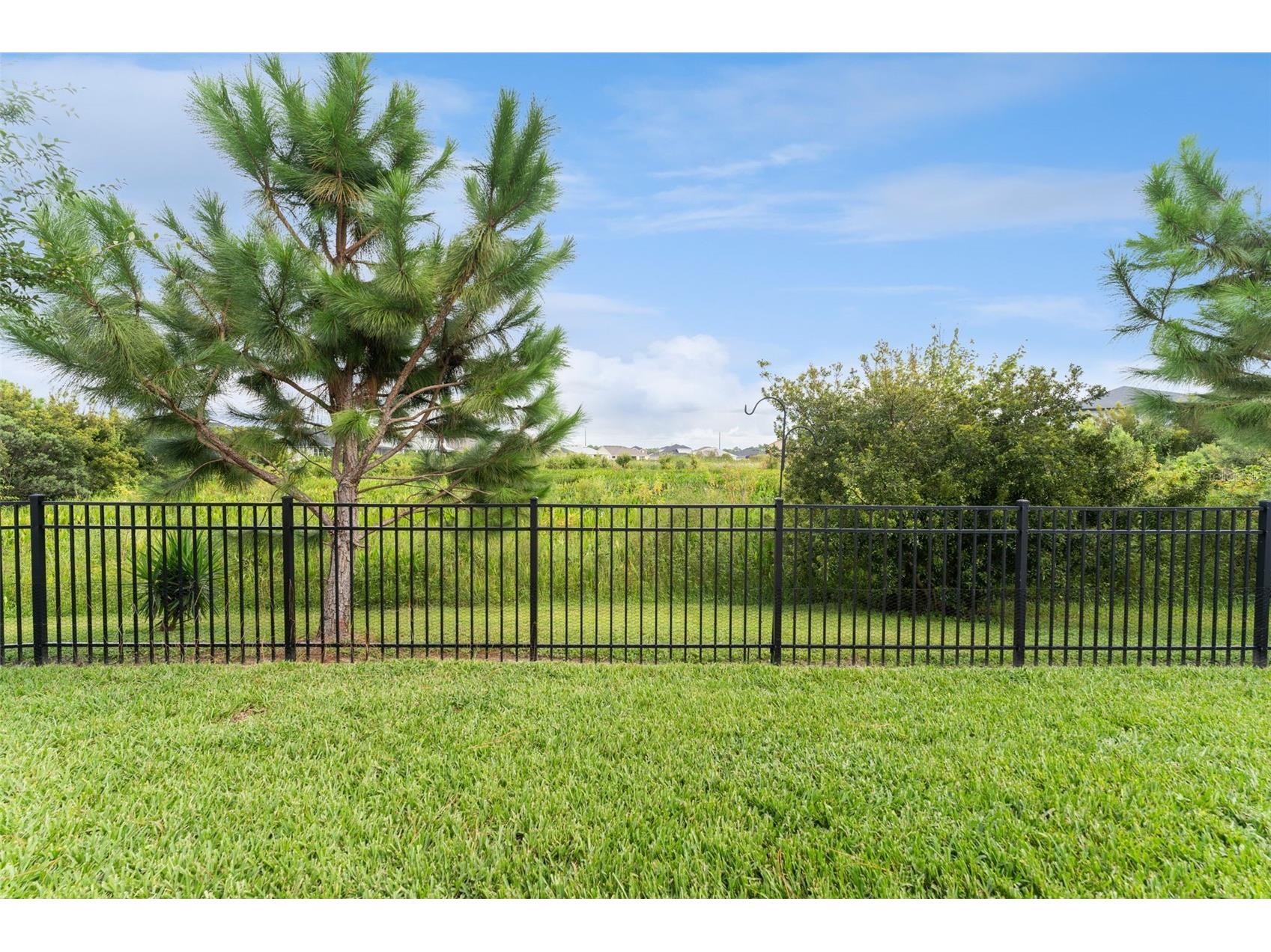 34315 Radley Way Wesley Chapel FL 33545 TB8514500 image48