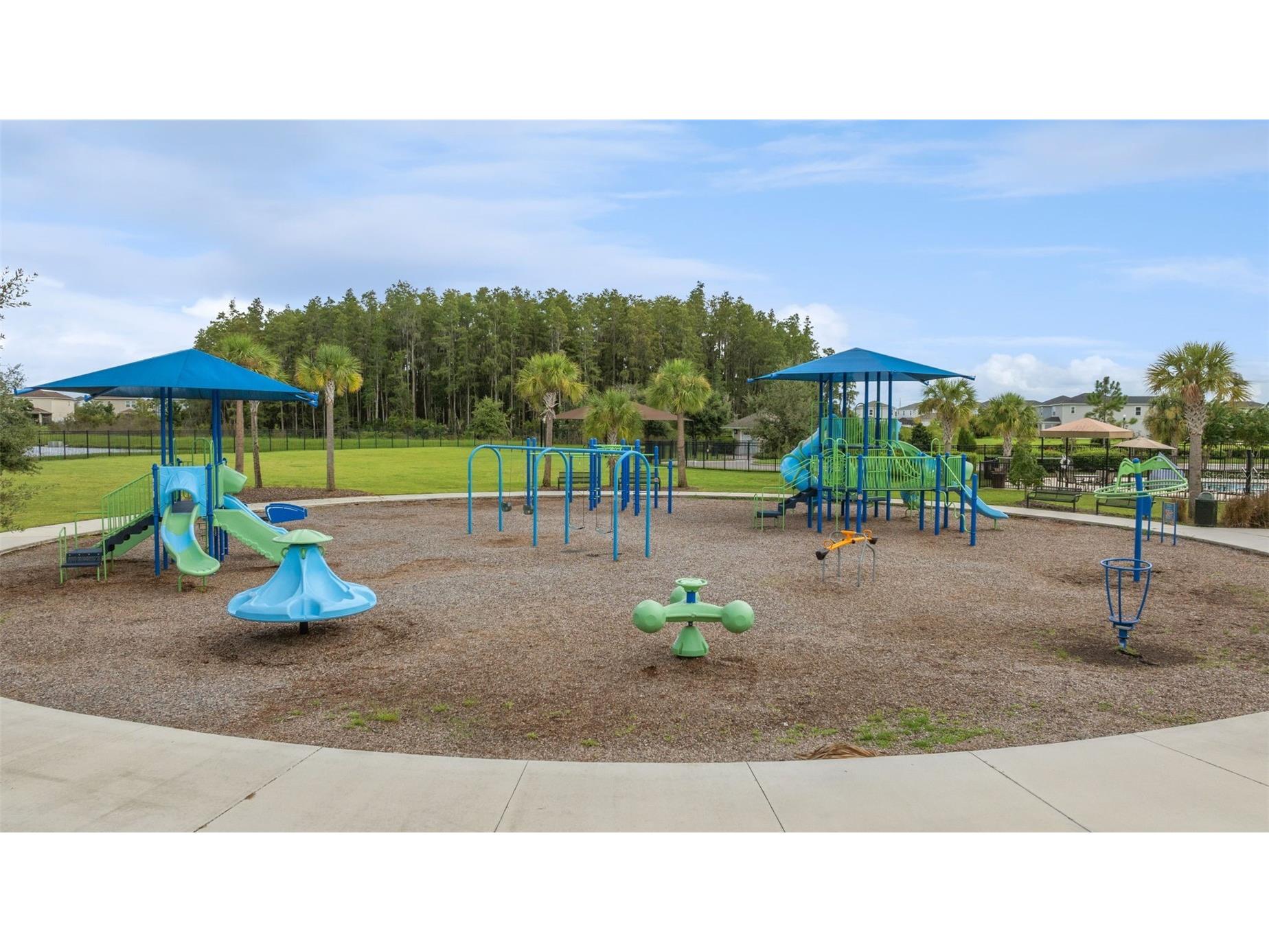 34315 Radley Way Wesley Chapel FL 33545 TB8514500 image60