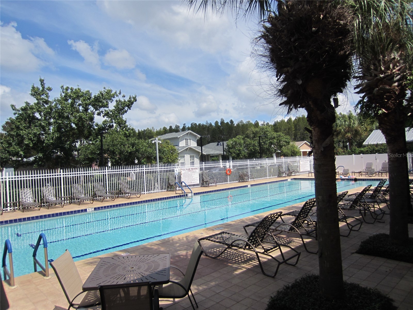 3432 Lonzalo Way New Port Richey FL 34655 TB8474605 image44
