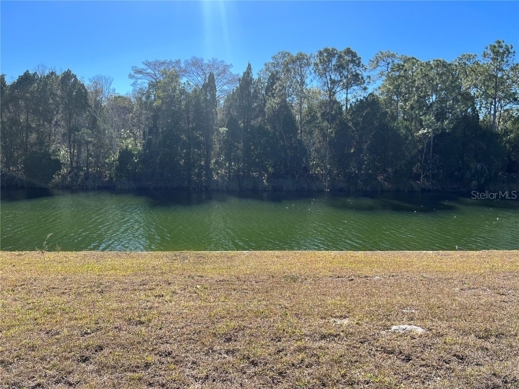 3432 Palometa Drive Hernando Beach FL 34607 - INDIRECT GULF OF MEXICO W7851778 image1