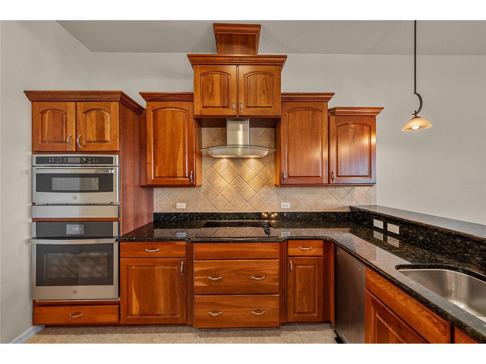 34321 Sahalee Loop Dade City FL 33525 TB8486266 image20