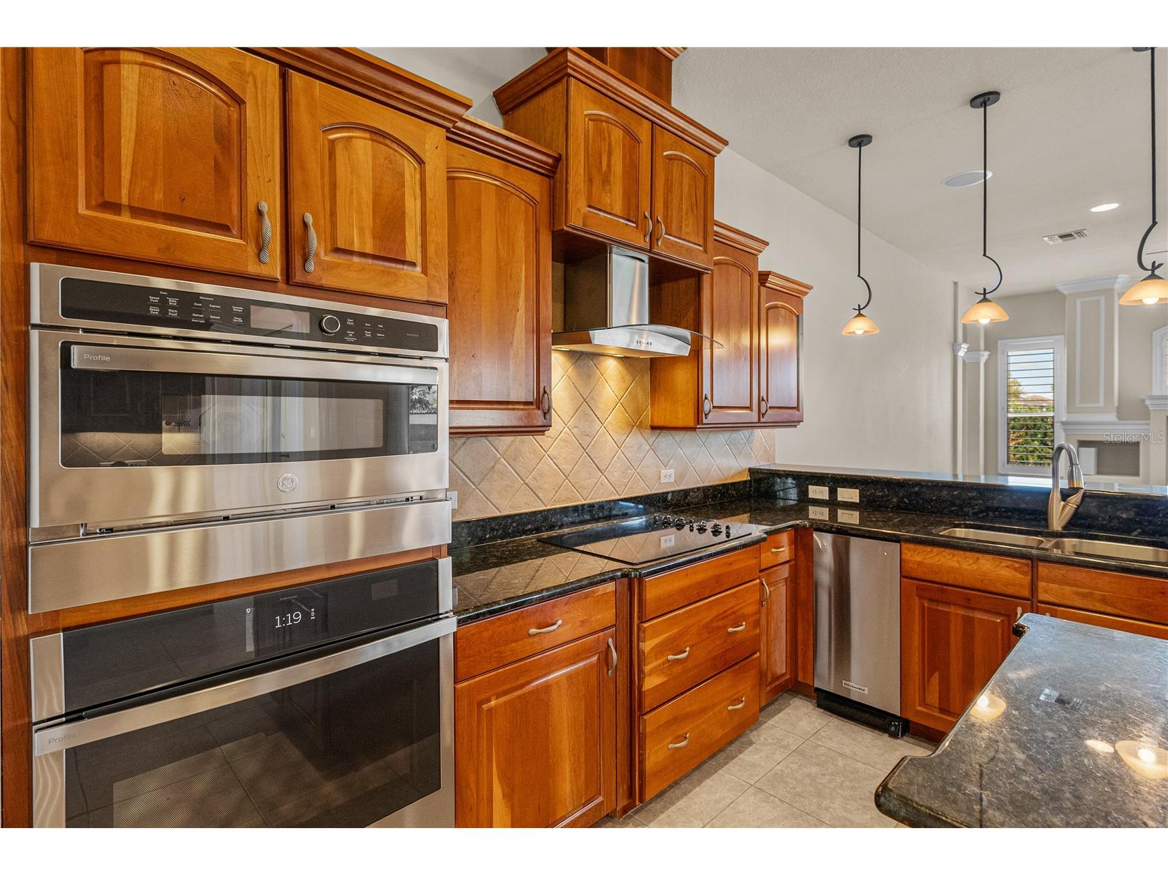 34321 Sahalee Loop Dade City FL 33525 TB8486266 image21