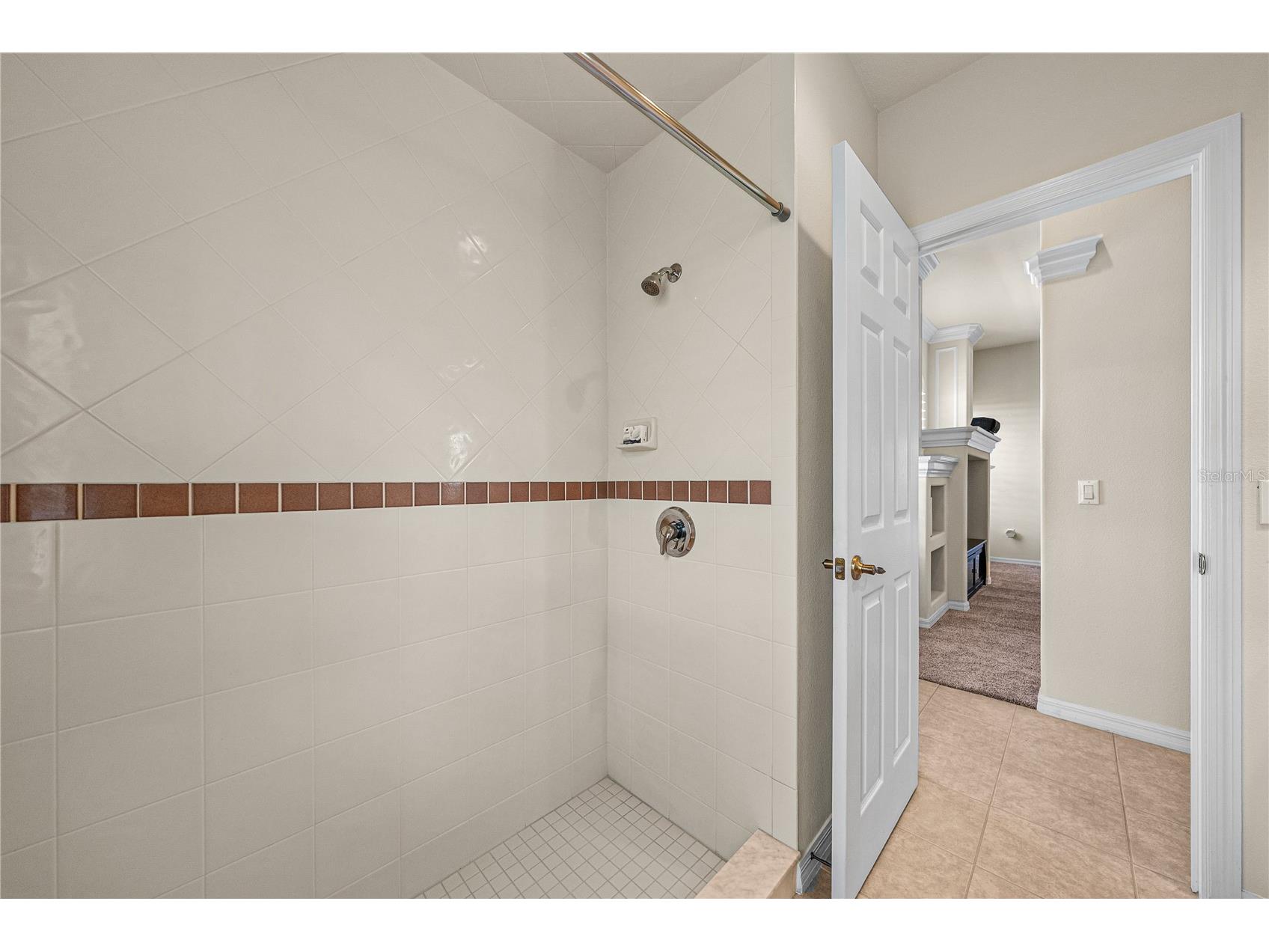 34321 Sahalee Loop Dade City FL 33525 TB8486266 image53