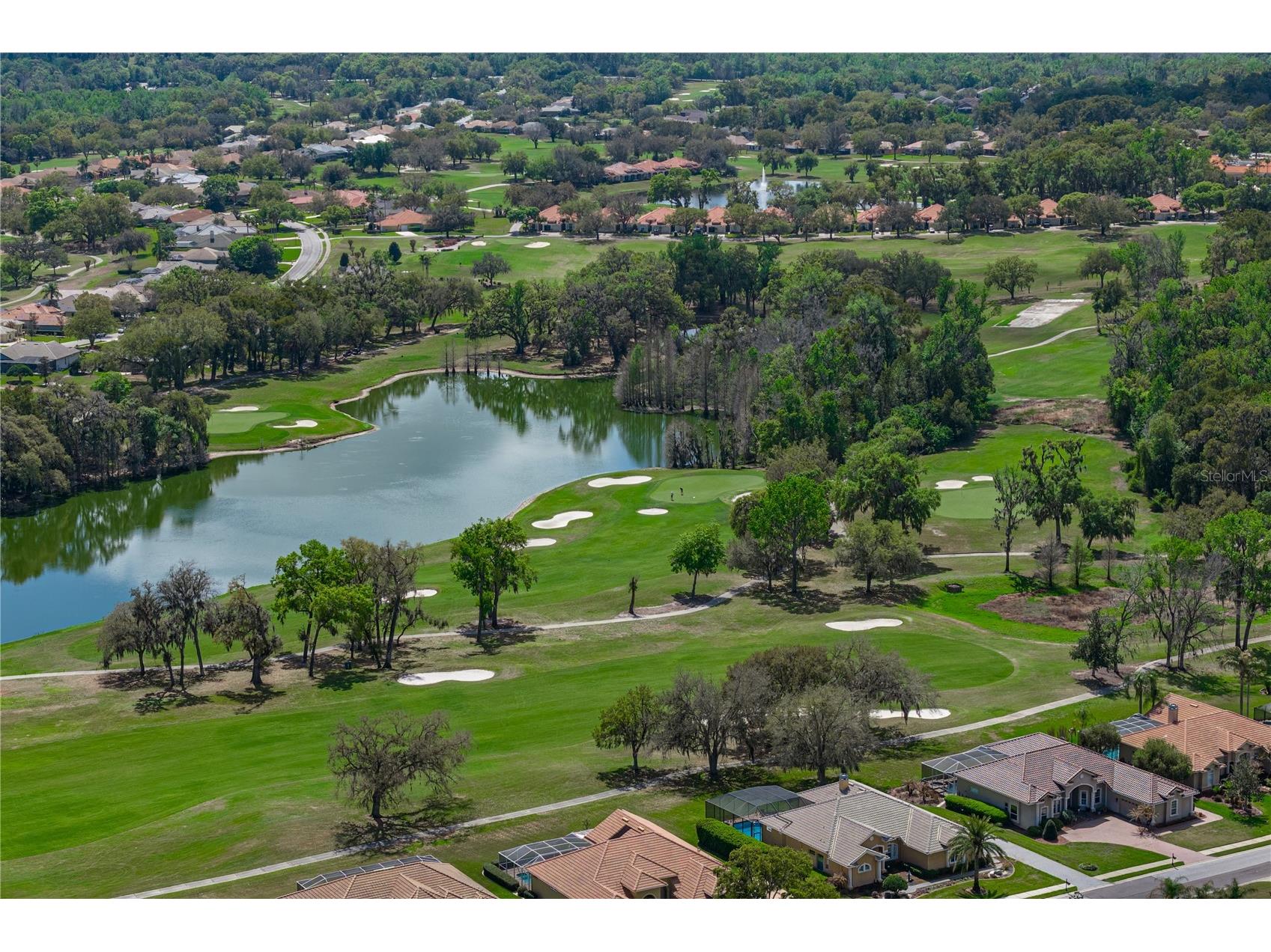 34321 Sahalee Loop Dade City FL 33525 TB8486266 image78