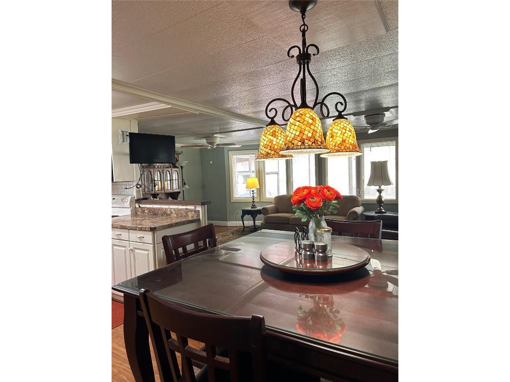 34323 Island Drive Leesburg FL 34788 - LAKE EUSTIS- CHAIN OF LAKES G5087588 image10