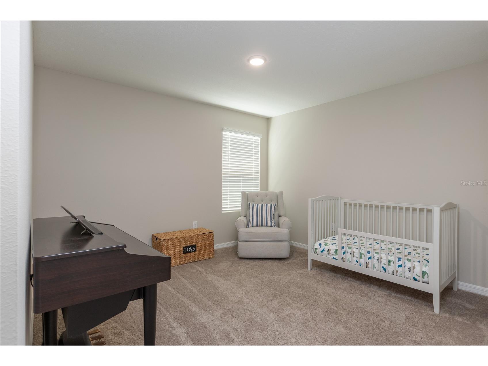 34327 Verbena Street Wesley Chapel FL 33545 TB8507099 image15